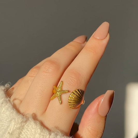The Starfish & Shell