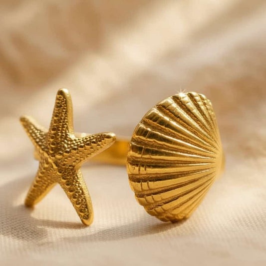 The Starfish & Shell